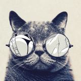 ALBERTO_MULET & 21-3-2014 SABADO RELAX!