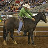 Interview with Renowned Horsemanship Trainer and Clinician, Richard Winters