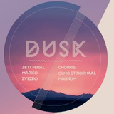 DUSK @Cue Bar, Amsterdam - Olmo St. Normaal closing set