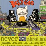 never underestimate a holler (vipee-pee mix)