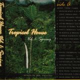 Tropical House Volume 1 Side 2 (Mixtape - February 2000)