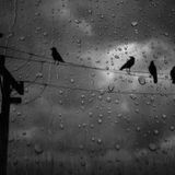 my_Ler - moody and mysterious (microfunk mix)