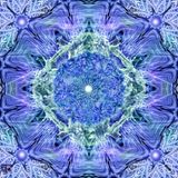 Progressive Selections vol. 10 (Mixed by Axell Astrid)