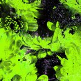 Class of 2015 // no. 3 // indiepop news