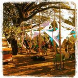 Dj Ali - Set en Cabuya - Bioluminous Beach Forest Experience