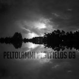 milo - Peltolammi Playfields 09