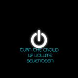 TURN THE CROWD UP VOL.17