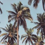 Julien Lebrun - Hot Casa Radio Show #48 - Best of 2015