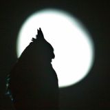Broadkast 022 / dj masda / 2013.05.28