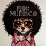 BOK - Nu Disco Set March 2015
