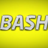Bash Vol 4.