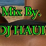 DJ Haui Die Stampfsau... Mix 15.09.2014 ( 100% Musik )