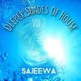 Deeper Shades Of House Vol 2