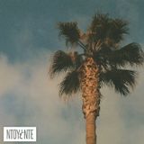 Issue 18: Summer into autumn