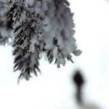 wintermix