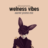 Wellness Vibes (Easter Promo 2014 mix) by Simongroove