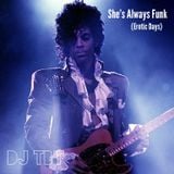 Prince - She´s Always Funk (Erotic Days) (mixed by DJ TBt)