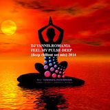 DJ YANNIS.ROMANIA IN THE MIX - FEEL MY PULSE DEEP (deep chillout set mix) 2014