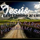 BICHOS RAROS PROGRAMA #9