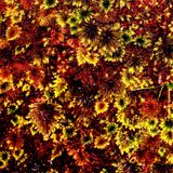 Eight Track Mix #1
