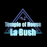 DMFSpecialBush