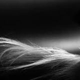 Audiowave - Deep Sensation 2014 August Mix