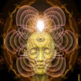 mix psy prog 30.01.13