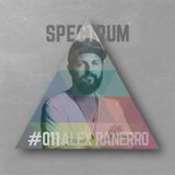 Spectrum Podcast011 - 01.02. 2016 - Alex Ranerro