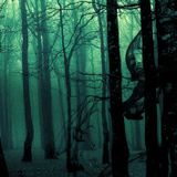 Drum & Bass Mix Vol.02 (Mixed by D-Lusion)
