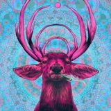 THE HOUSE OF THE DEER # 004