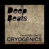 DeepBeats promomix Dec12 - CRYOGENICS