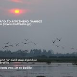ΜΑΚΡΙΑ ΑΠΟ ΤΟ ΑΓΡΙΕΜΕΝΟ ΠΛΗΘΟΣ ΕΚΠΟΜΠΗ 03 ΙΑΝΟΥΑΡΙΟΥ 16