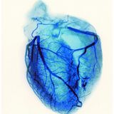 CIVILIANSOUND! - "Bluestep" Mix (March 2013)