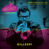 Entrevista Gillespi