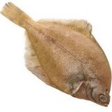 Dabstep
