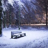 Winter Edition 2015