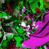 Gid (Highlife in Space) | BEYOND the Lost Kingdom of What the...? 2015 | Friday - Secret Garden