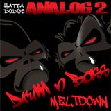 Analog 2 Show 43 - The Sunny Vibras Show