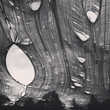 Mind of Vision Open Air 2015 pm5