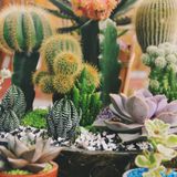 Monday Morning Mixtape 116