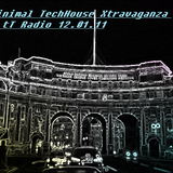 Minimal-TechHouse Xtravaganza @ tT Radio 12.01.11