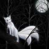 Lunar Vixens