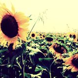 Goodbye Summer Mix