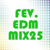 FEV. EDM Mix 25