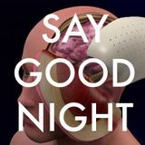 Say Good Night- Pt.1