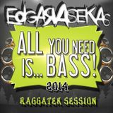 Edgar a Sekas @ All You Need Is Bass 2014