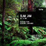 Slam Jam #8 w/ DJ 1985 - JUNGLE SPECIAL - 02/03/2016