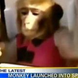 MonkeyTimeRadioHour_16-Jan-2013