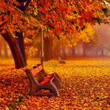 DJ HACKs November EDM Mix by DJ SHOTA
