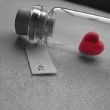 For Him /For Her